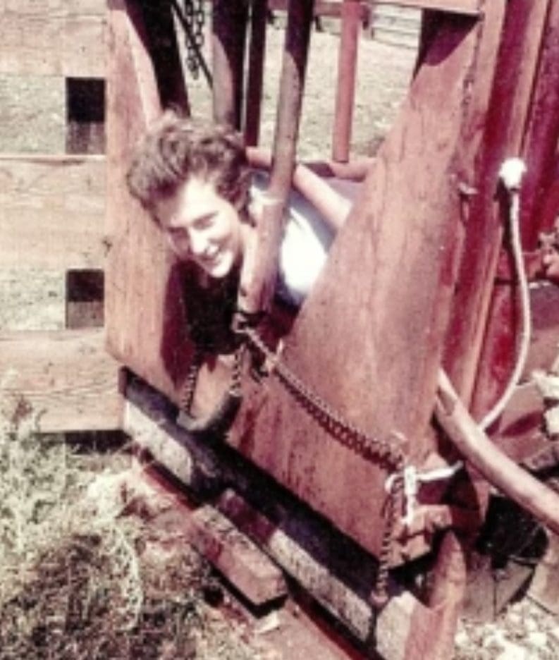 Temple Grandin: A Bridge to Understanding Autism screenshot 20250904 012925 brave