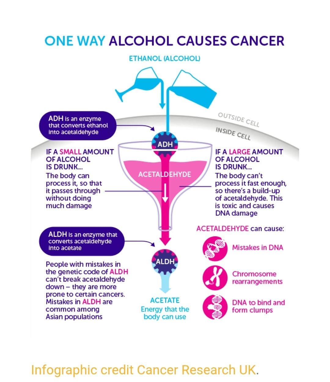 Study proves Alcohol 🍸 is a carcinogen [Promotes Cancer]